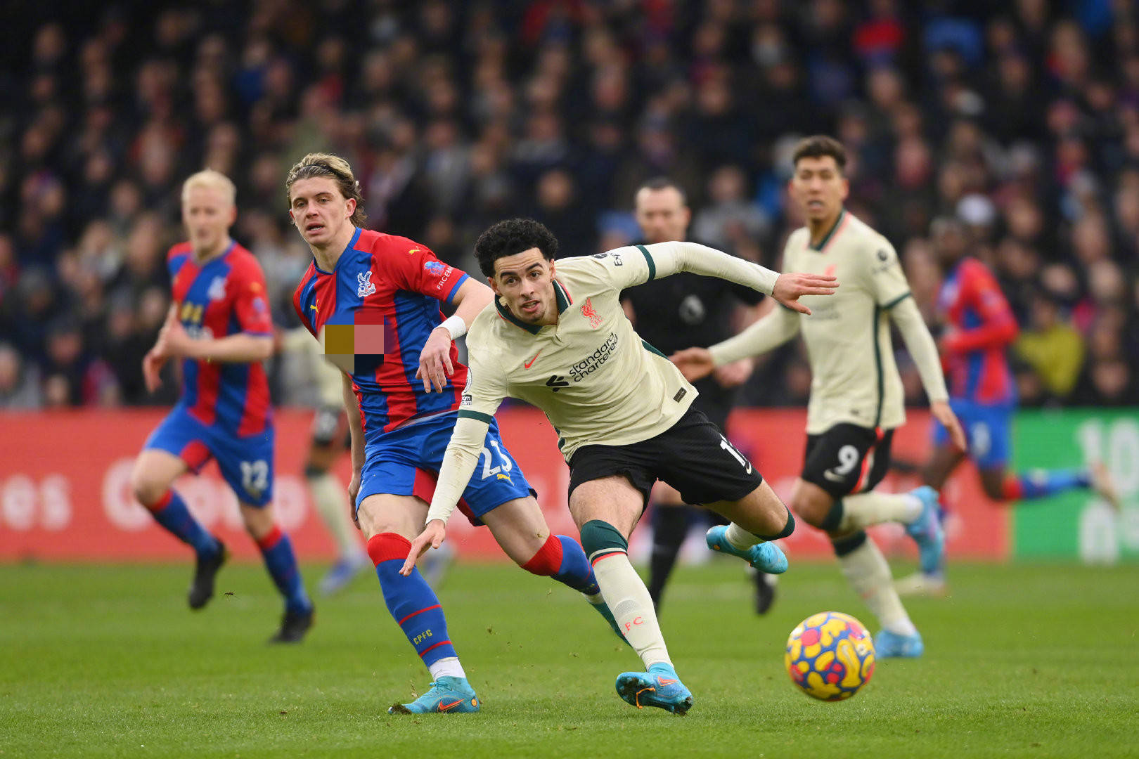 名小将不仅 名小将不仅